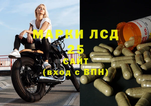 гашик Богданович