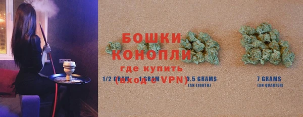 гашик Богданович