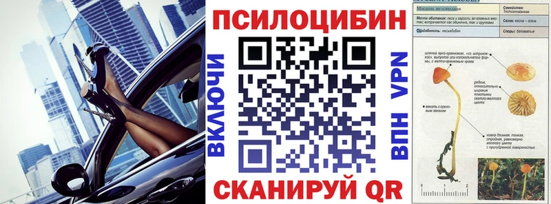 Псилоцибиновые грибы Magic Shrooms  Купить закладки  Осташков 